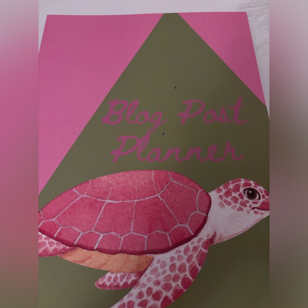 Turtle design blog post planner​